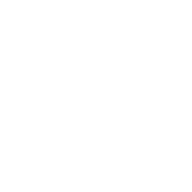 NEW EVOLUTION