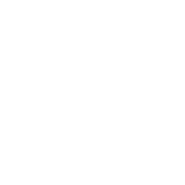 NEW EVOLUTION