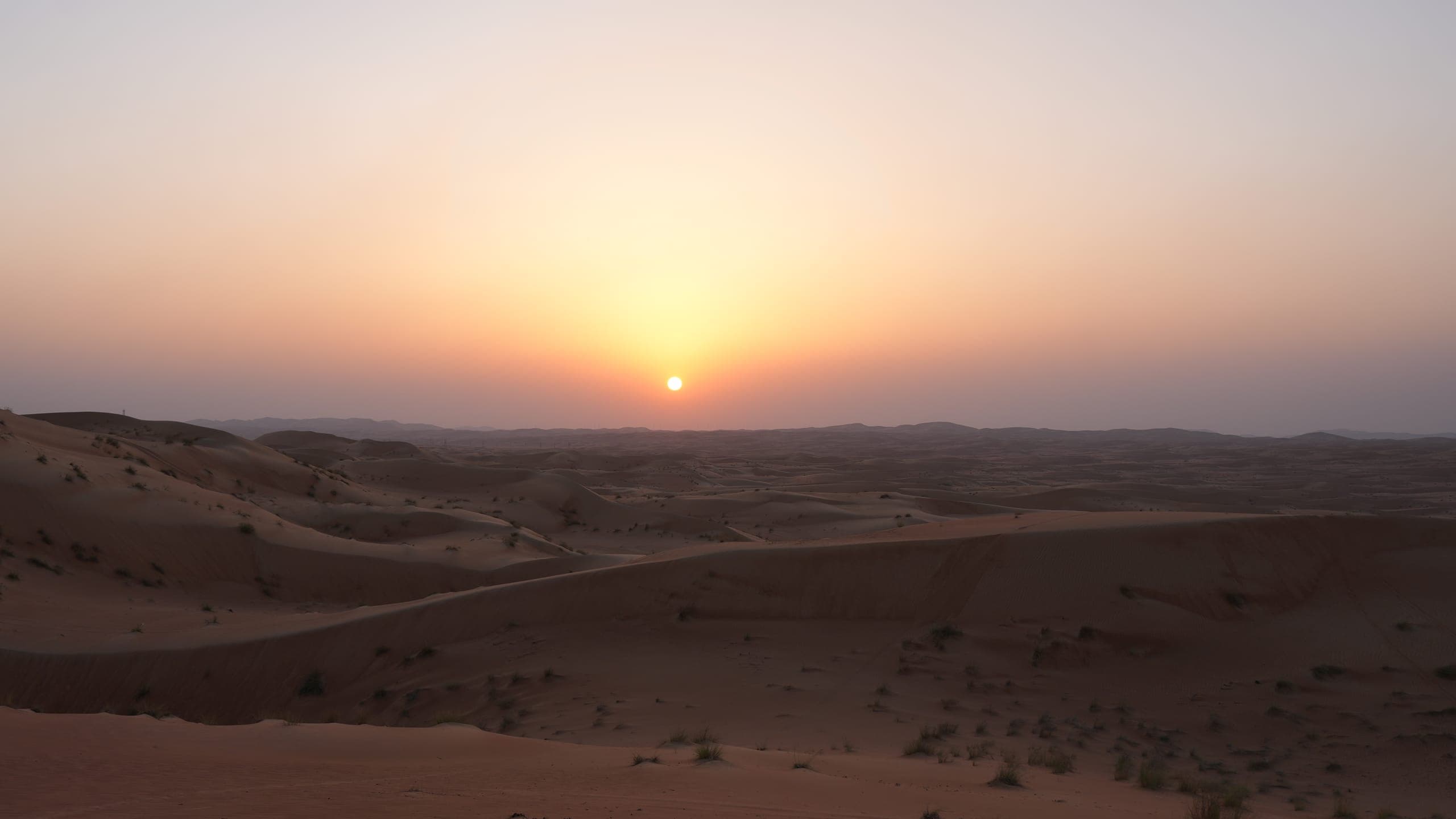 Desert sunset